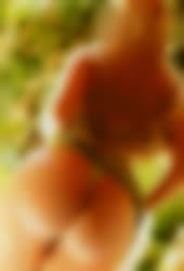 Flora - Treze de Maio, João Pessoa
